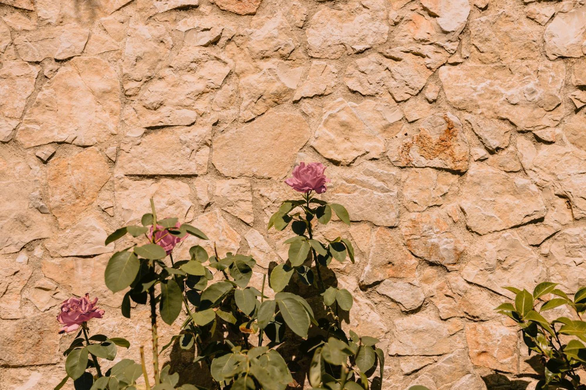 Vilas Da Matagosa Matagosinha Dış mekan fotoğraf